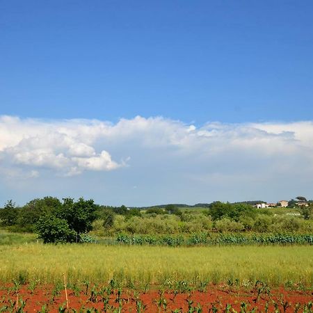 Apartments Sv. Pelegrin Umag Dış mekan fotoğraf