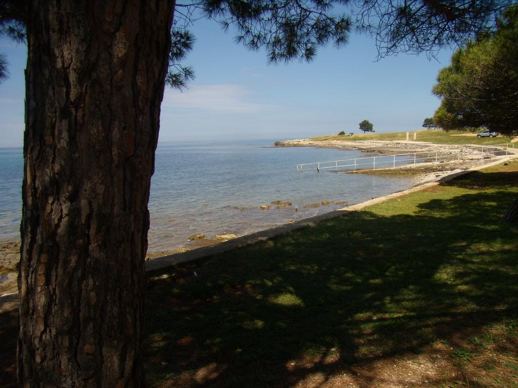 Apartments Sv. Pelegrin Umag Dış mekan fotoğraf
