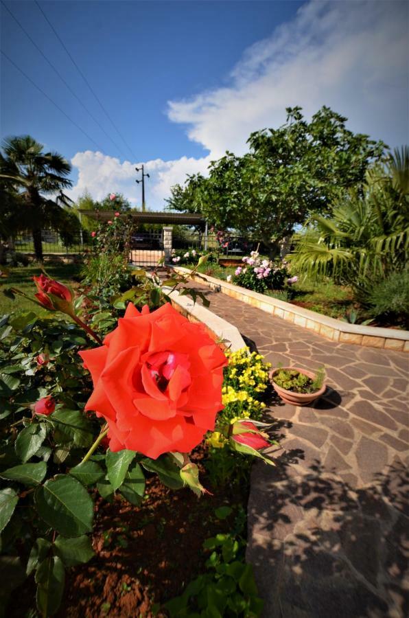 Apartments Sv. Pelegrin Umag Dış mekan fotoğraf
