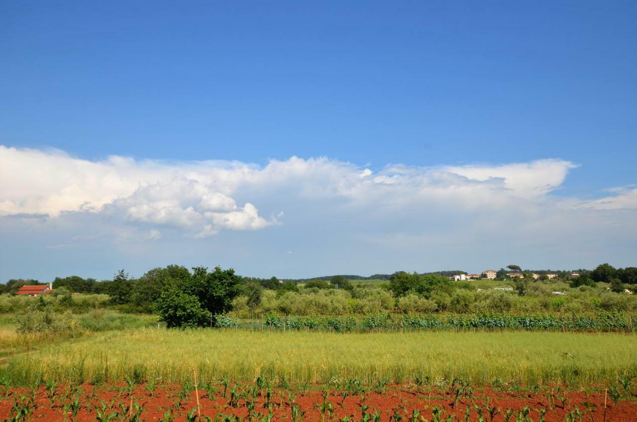 Apartments Sv. Pelegrin Umag Dış mekan fotoğraf